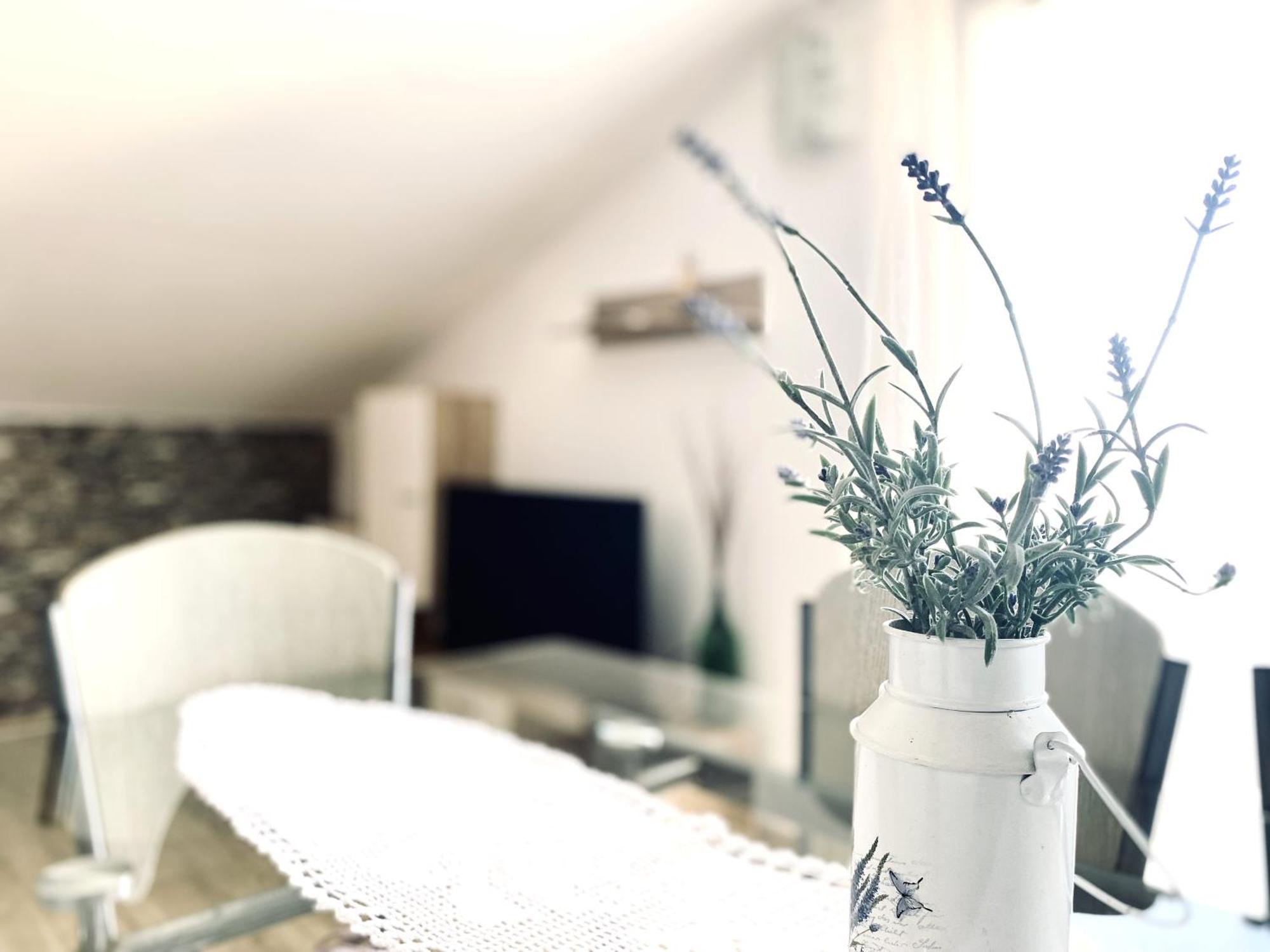 Luna Maris Apartments زادار المظهر الخارجي الصورة