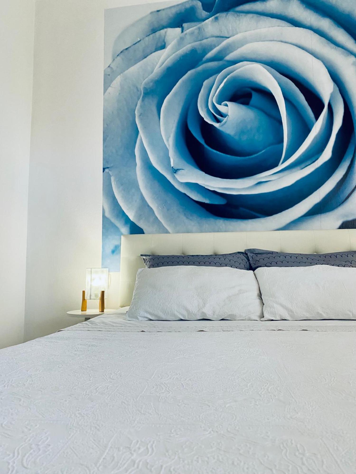 Luna Maris Apartments زادار المظهر الخارجي الصورة